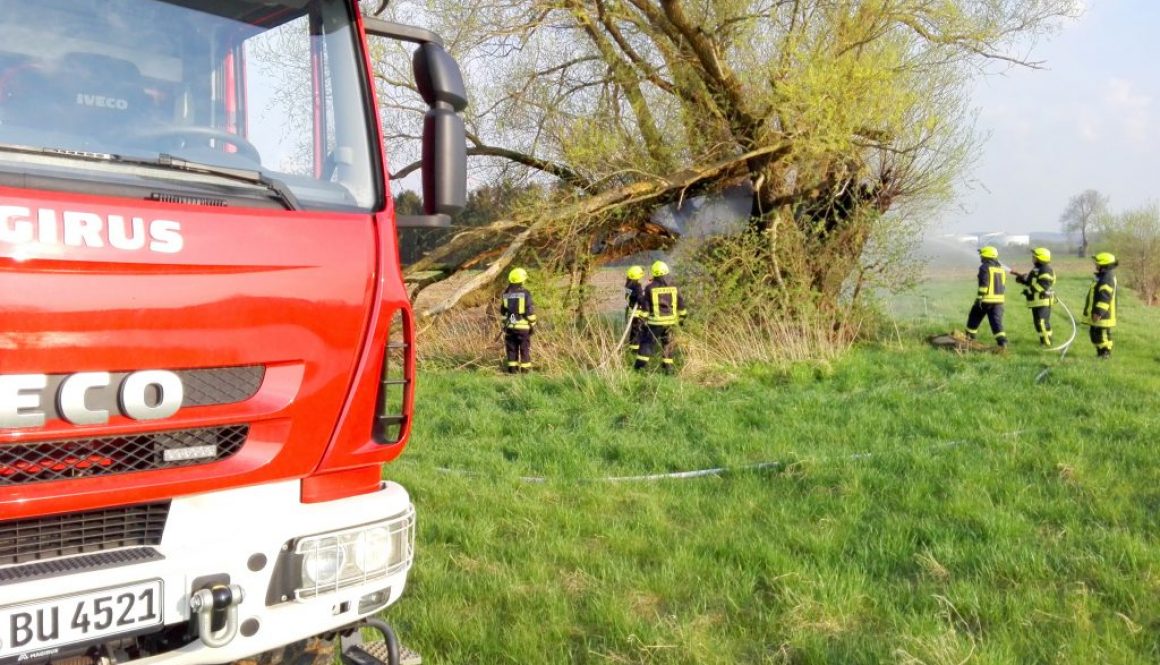 Flächenbrand_16042018