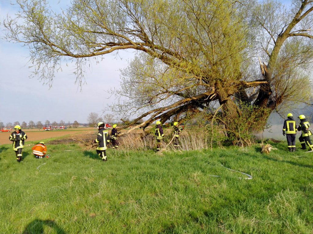 Feuer im Innern eines alten Baumes – Gemeindefeuerwehr Nordstemmen