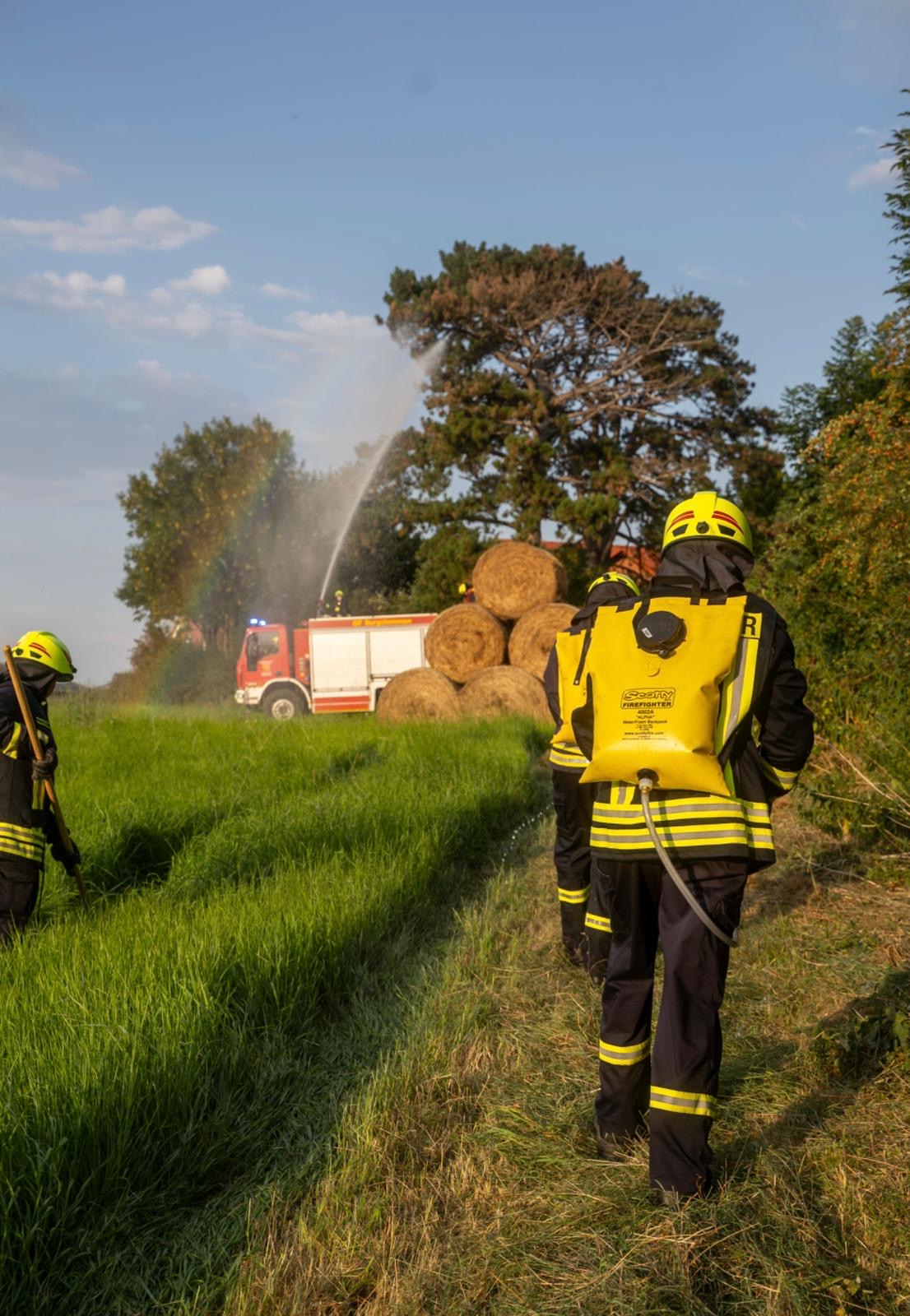 FF-Burgstemmen-Showübung25 (4)